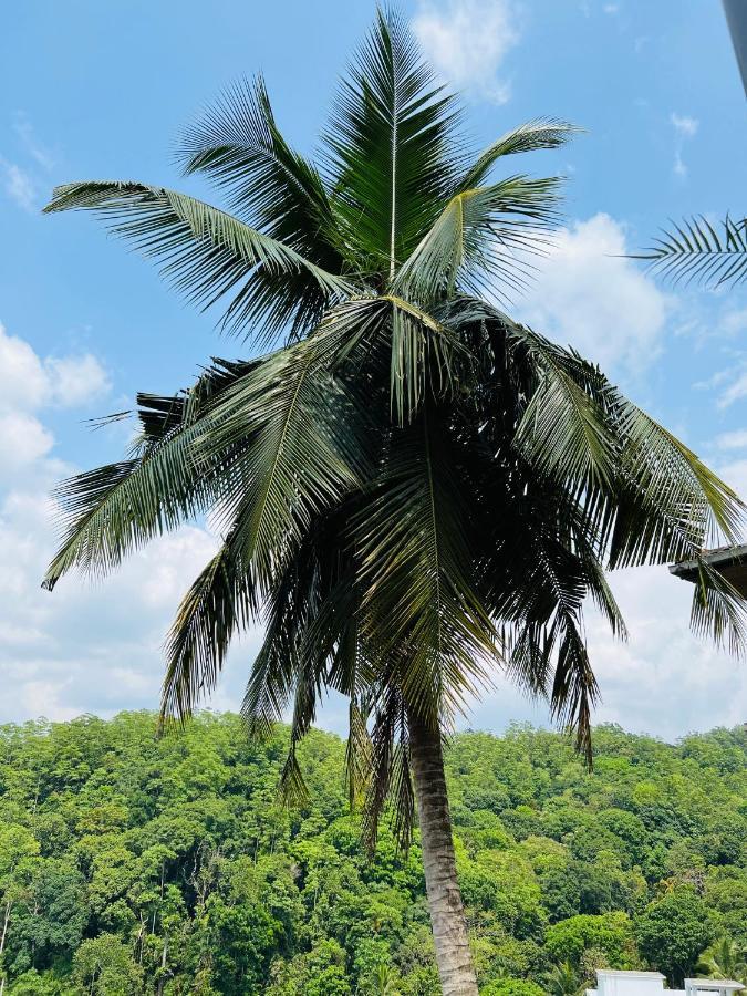 Hansons Homestay Kandy Exteriör bild
